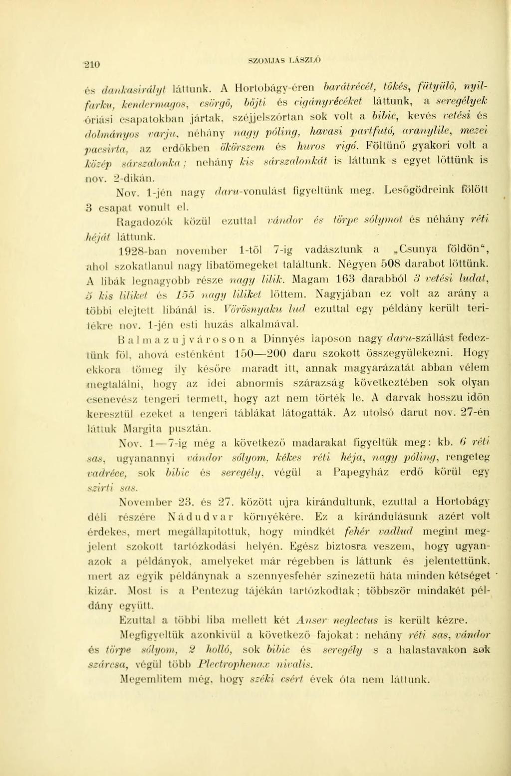 210 SZOMJAS LÁSZLÓ és dankasirályt láttunk.