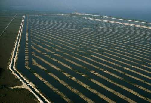 2 nyomottvizes blokk (700 MW) és 2