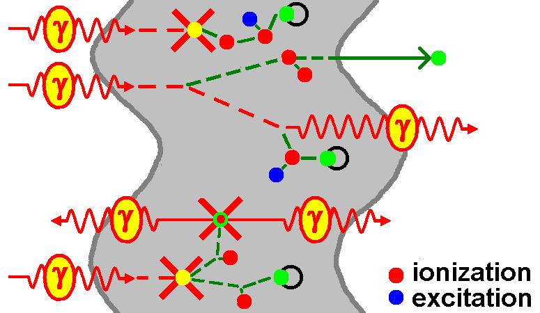 Interactions of photons Pair production Module L-ER-3.