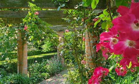 2019. június 24. szentesiélet Tájékozottnak lenni jó! 21 A francia kerteket rengeteg örökzöld, sövény, labirintusok, útvesztők jellemzik puszpángból, tiszafákból vagy gyertyánokból.
