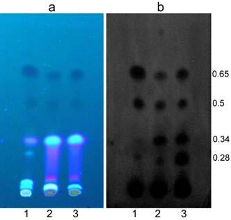 Separation and Identification of Antibacterial Chamomile Components Medicinal Chemistry, 2012, Vol. 8, No.