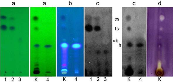 were developed with chloroform-acetone 99:1 (v/v); b layers were developed with chloroform-acetone 95:5 (v/v). Fig. (4).