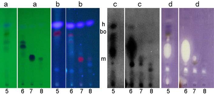 maculicola and Bacillus subtilis; a/b- the developed layers under UV light 254/365 nm; c- bioautogram using luminescent P. maculicola (dark spot = inhibition zone); d- bioautogram using B.