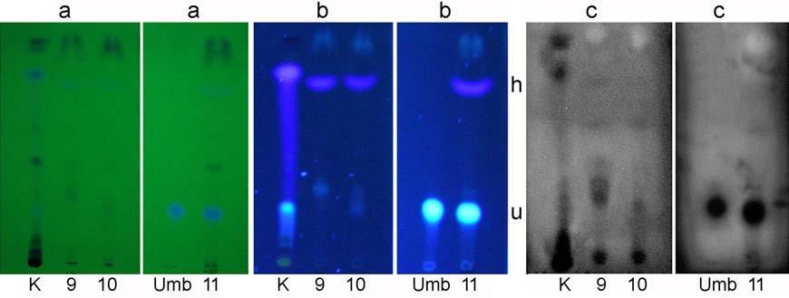 Separation and Identification of Antibacterial Chamomile Components Medicinal Chemistry, 2012, Vol. 8, No. 1 89 Fig. (6).