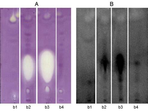 92 Medicinal Chemistry, 2012, Vol. 8, No. 1 Móricz et al. Fig. (9). The MS spectra of the main components of the chamomile flower fractions; a peaks in fraction 1 and 2 at t R 17.02 and 17.