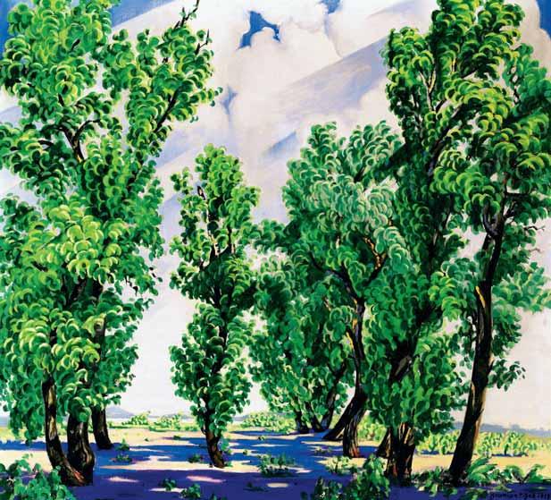 archívum Margitszigeti nyárfák 1922 Poplars of