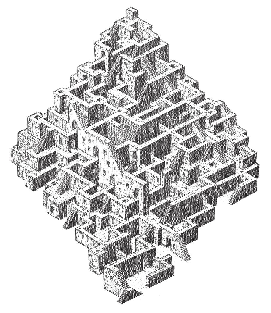 41