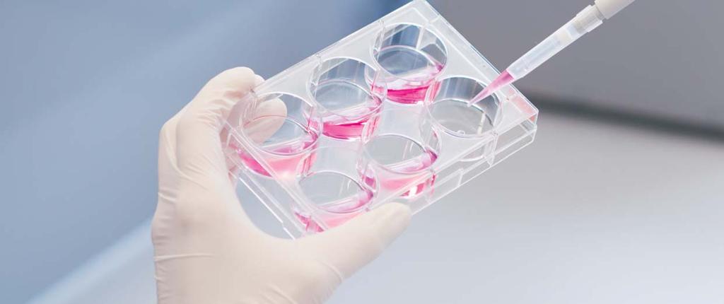 TC Tested TC Tested Sterile/ DNA-/ DNase-/ RNase-/