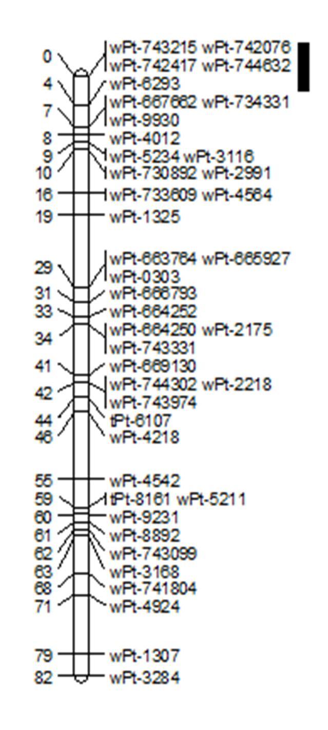 Vízmegvonás (szárazságstressz) hatására a Plainsman V/Cappelle Desprez DH térképező populációban azonosított, terméssel kapcsolt