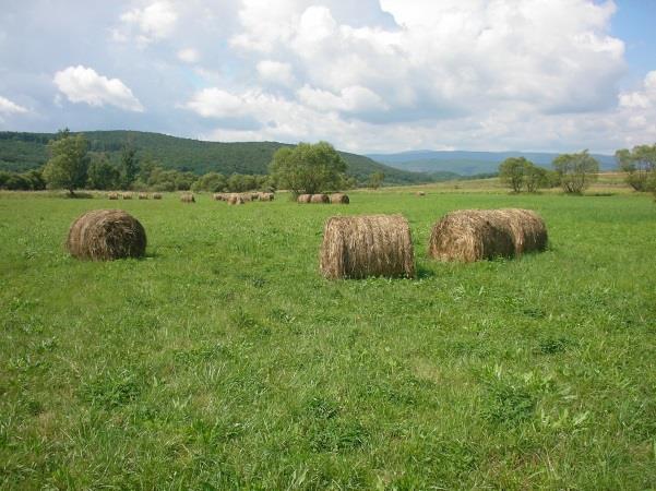 amelyek a tájváltozásokat előidézik; vezessen nyilvántartást a tájak