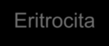 CR1 Eritrocita komplement receptor 1 (CR1, CD35): C3b/C4b receptor néven is ismert Immunadherencia receptor Eritrocitákon, leukocitákon, glomeruláris podocitákon, valamint a lép follikuláris