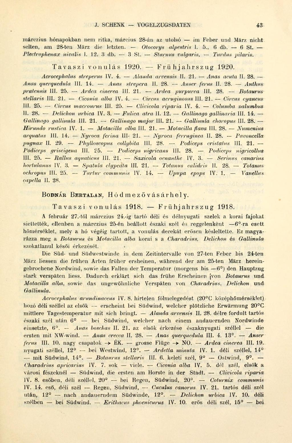 J. SCHENK VOGELZUGSDATEN 43 inárczius hónapokban nem ritka, március 28-án az utolsó im Feber und März nicht selten, am 28-ten März die letzten. Otocorys alpestris I. 5., 6 db. 6 St.