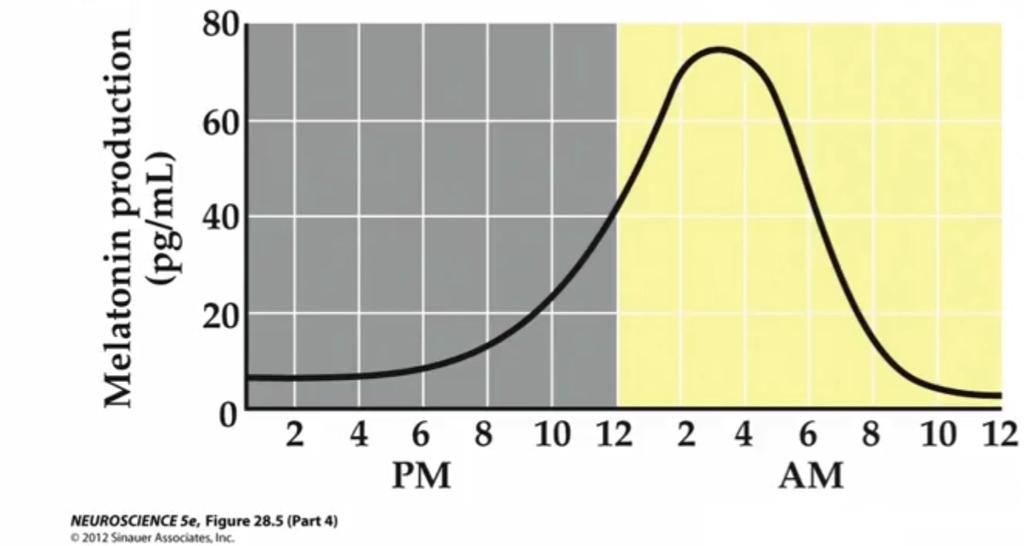 Melatonin