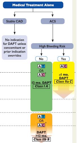 TCT AGGREGÁCIÓ GÁTLÁS SZEKUNDER PREVENCIÓBAN ACS PCI nélküli kezelés: DAPT DAPT ESC 2017 szakmai irányelv alapján 1 2017 ESC focused