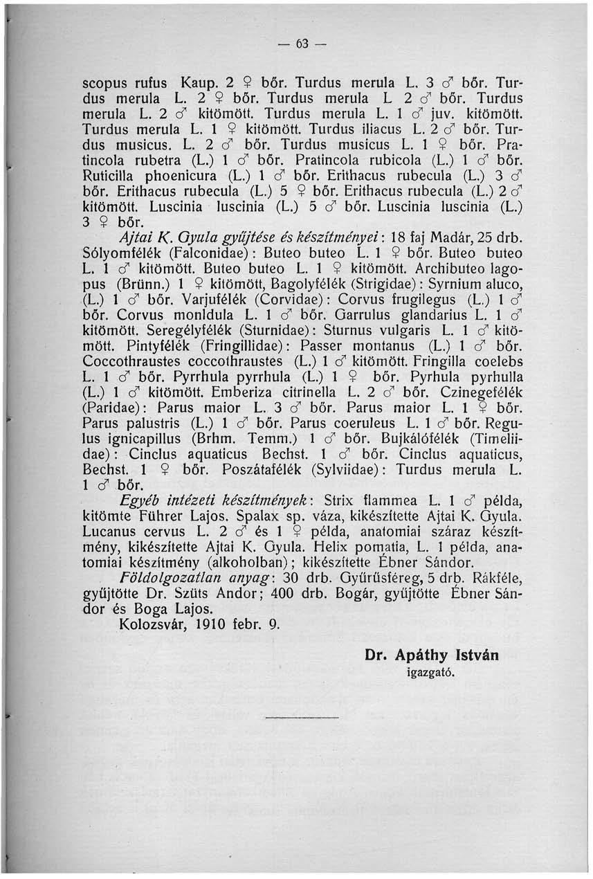 _ 63 - scopus rufus Kaup. 2 9 bőr. Turdus merula L. 3 d bőr. Turdus merula L. 2 9 bőr. Turdus merula L 2 d bőr. Turdus merula L. 2 d kitömött. Turdus merula L. 1 d juv. kitömött. Turdus merula L. 1 9 kitömött.