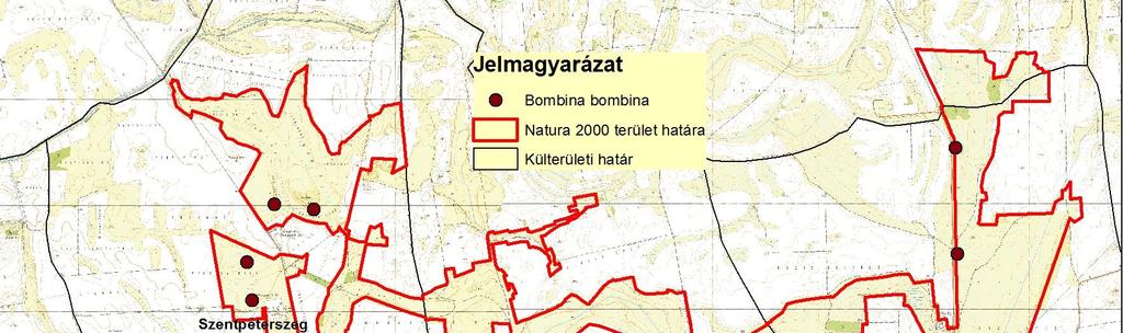 3.5. Vöröshasú