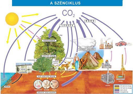 A hulladékégetés ellenzői sokat beszélnek a széndioxid káros hatásáról.