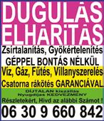 bor, festmény, gncs, krzsebórák, borostyán, törtrny- ezüst kzpénzes felvásárlás!