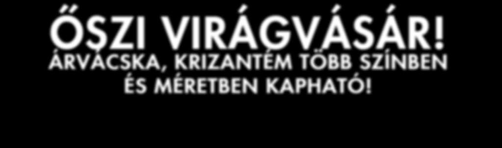 helyen Nyitvtrtás: