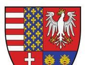 A címer általában pajzson, zászlón, nyeregtakarón, köpenyen, sisakon és