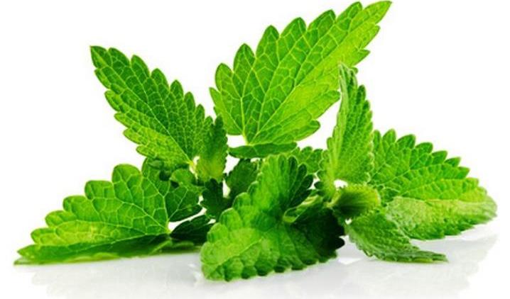 Masszázsolajok Illóolajok aromaterápiához lágy és bársonyos bőr relaxáció napraforgóolaj