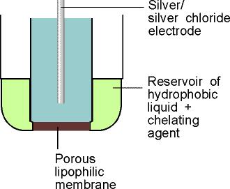 Ionszelektív elektródok Felépítése: Működése: a komplexbe vihető ionok átvándorolnak a lipofil membránon, így megnő a membránpotenciál, amit az Ag/AgCl