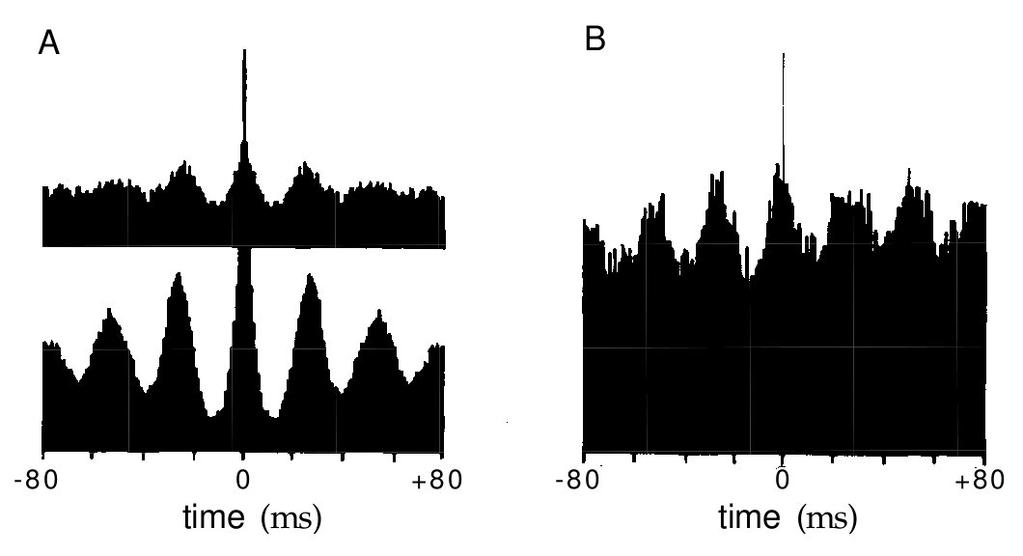 Spike-train statistics homogén Poisson folyamat homogén Poisson folyamat ISI: két egymást követő tüzelés között eltelt idő.