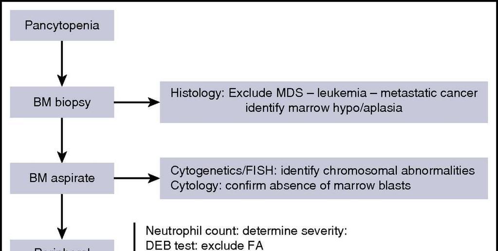 Diagnostic procedures