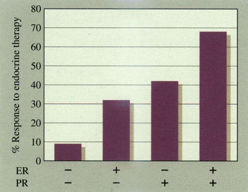 Endokrin kezelés hatékonysága a hormon receptor status