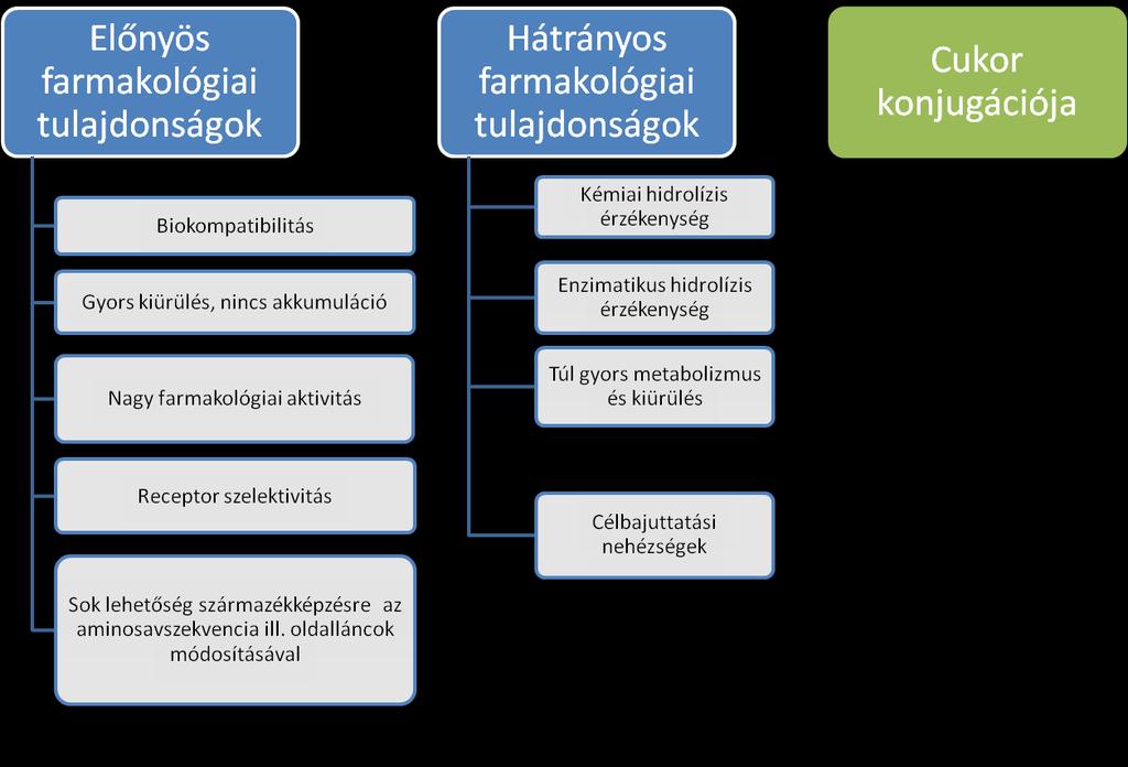 hasítási helyeken történő aminosavcserével, nem természetes aminosavak beépítésével vagy a peptidek szénhidrátokkal történő konjugálásával.