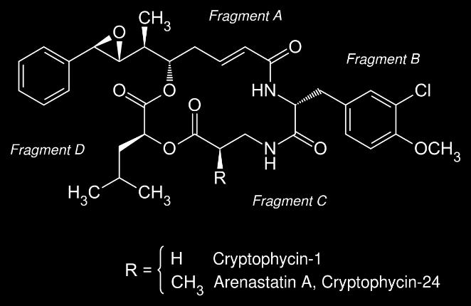 GnRH-III származék cryptophycin konjugátumok Cryptophycin: cianobaktériumokban fedezték fel (rendkívül toxikus, antiproliferatív hatású) GnRH-III conjugates: