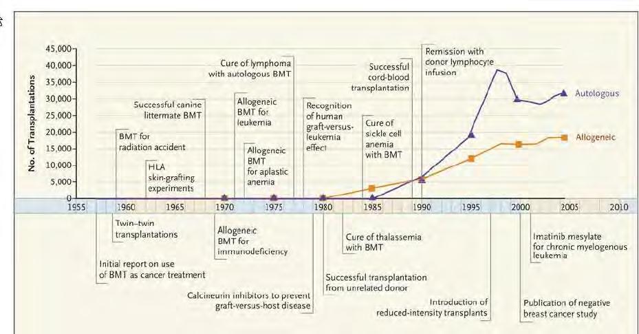 Az őssejtátültetés fejlődésének idővonala