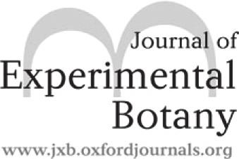 Journal of Experimental Botany, Vol. 64, No. 11, pp. 3397 3410, 2013 doi:10.1093/jxb/ert178 This paper is available online free of all access charges (see http://jxb.oxfordjournals.org/open_access.