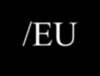2. éves Nemzetközi Igazgató /EU