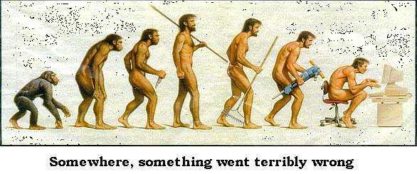 Homo