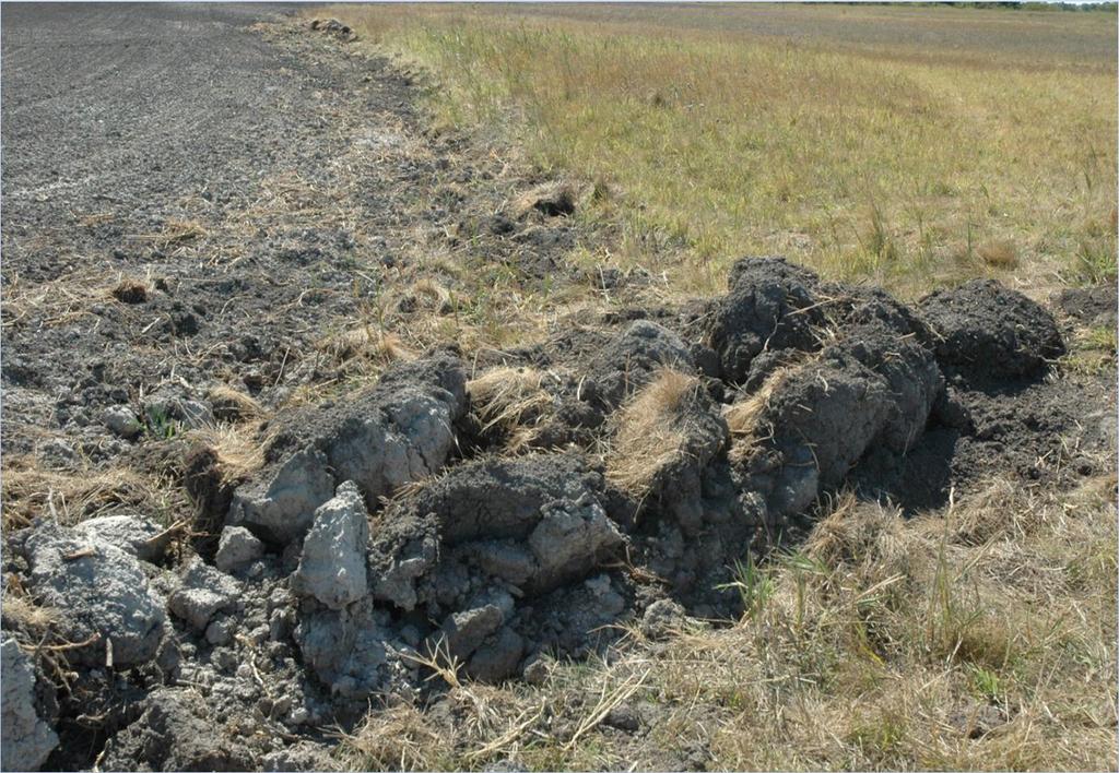 Intenzív gazdálkodás Eutrofizáció; Biodiverzitás csökkenése és Natura 2000 jelölő élőhelyek visszaszorulása Veszélyeztető tényezők: kezelés