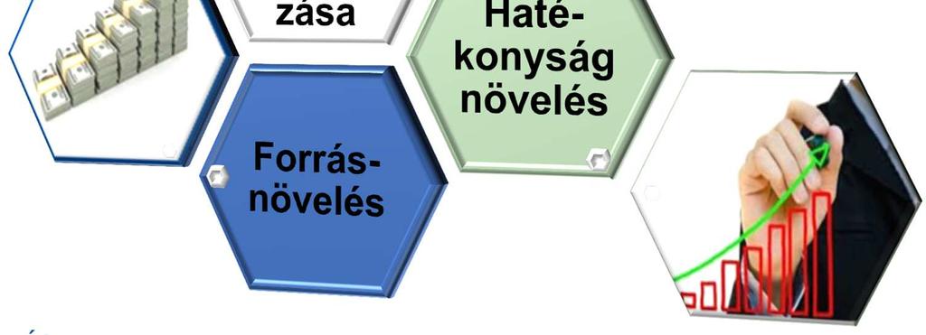 2007200820092010201120122013 Lehetőségek: Hatékonyabb kiválasztás Állapotfelmérés