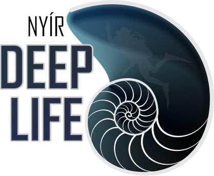 N Y Í R D E E P L I F E Szolgáltató, Termelő és Kereskedelmi Kft. 4432 Nyíregyháza, Kincs köz 17/A Bankszámlaszám: 11600006-00000000-43224157 Cégjegyzékszám: 15-09-071238 Adószám: 13888996-2-15 Tel.