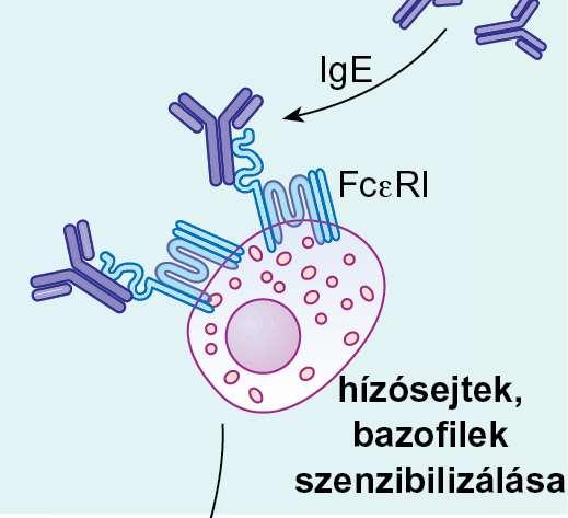 Immunológia (szerk.