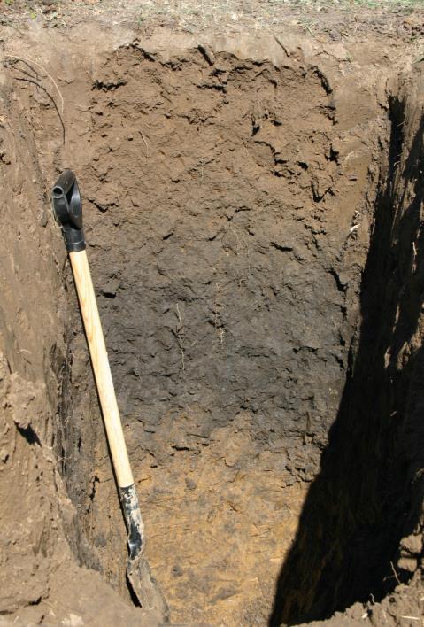 csak lejtőhordalékon jön létre. Összességében e szelvényt nem lehet egyértelműen egy talajtípusba besorolni: lehet mély glejes lejtőhordaléktalaj vagy típusos réti talaj lejtőhordalékon.