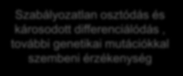 sejtosztódás Szabályozatlan osztódás és károsodott