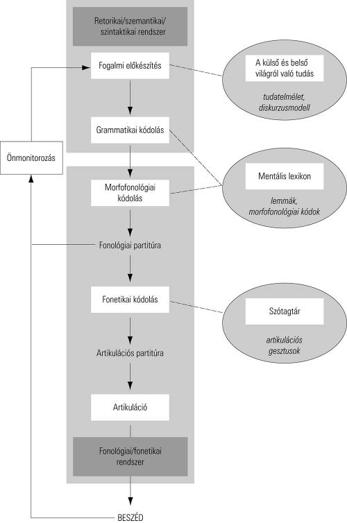 1.5. ábra A beszédprodukciós folyamat modellje Levelt (1999) alapján (http://www.tankonyvtar.hu/hu/tartalom/tamop425/2011_0001_520_altalanos_pszi chologia_3/ch03s04.