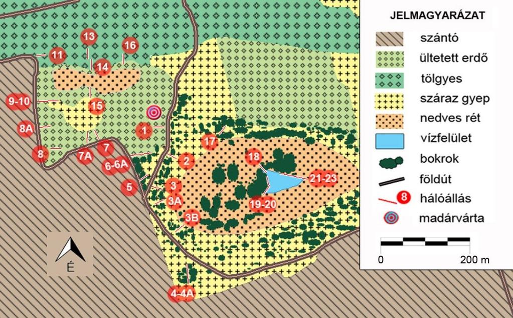 Heterogén gyep élőhelytípus: Átmenetet képez a Nagy-tó nedves élőhelyei és a környező szántóföldek helyét valaha borító sztyeppréti társulások között. Néhány bokros terület is található ezen a részen.