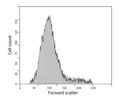 Az adatok ábrázolása Hisztogram: egyparaméteres gyakoriság eloszlás x-tengely: mért szignálintenzitás y-tengely: adott intenzitáshoz