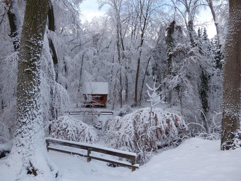 Lengyel-annafürdő, parkerdő Tolna megyében a Gyulaj Erdészeti és Vadászati Zrt. által kialakított tanösvények a havazás ellenére járhatók és kirándulásra alkalmasak.