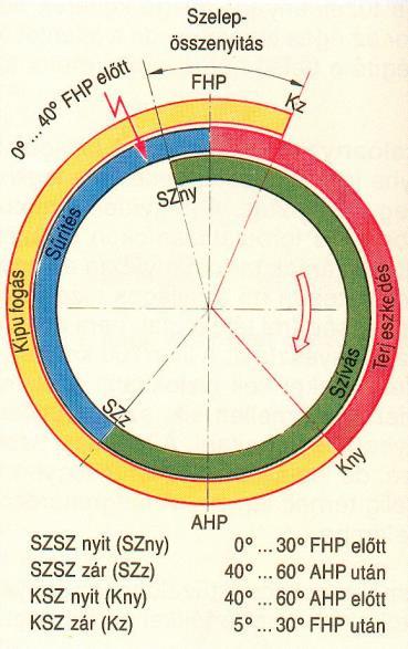 diagramja 5.