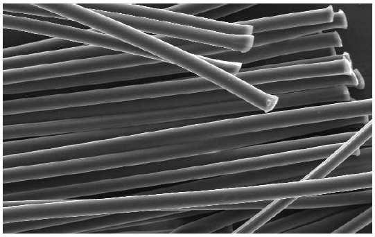 Contribution des fibres de polypropylène et métalliques à l amélioration du comportement du béton soumis à une température élevée 2.