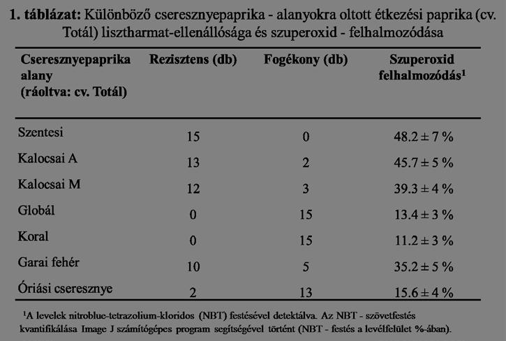 Kíváncsiak voltunk arra is, hogy a Szentesi mellett más, lisztharmatrezisztens cseresznyepaprika - alanyok esetében is igaz-e, hogy a NADPH-oxidáz fokozott aktivitása összhangban van a szuperoxid