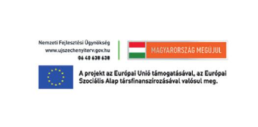 1 Az önkormányzati feladatok monista és dualista értelmezése...4 1.2 Kötelező és önként vállalt önkormányzati feladatok...4 II.