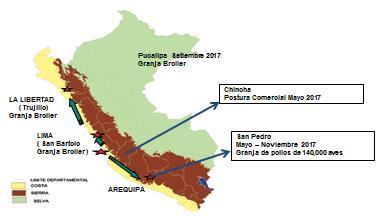 PERU ND velogenic lentogenic IBDV Variant, Classical Very virulent Lima